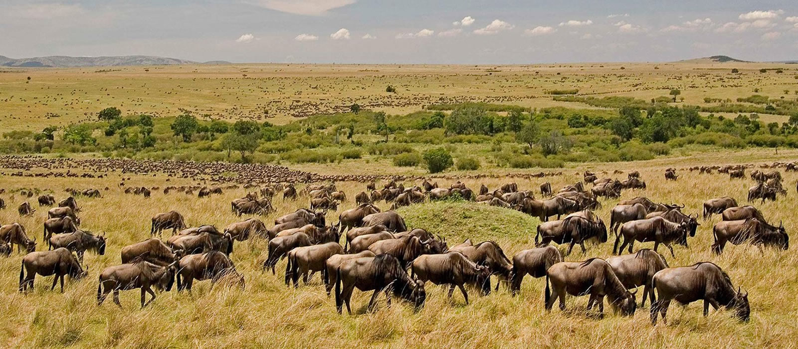 maasai mara game reserve