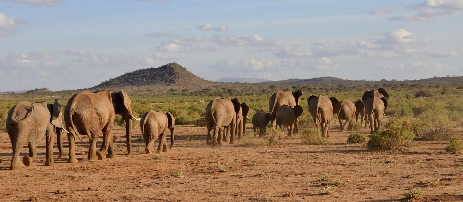 samburu national reserve