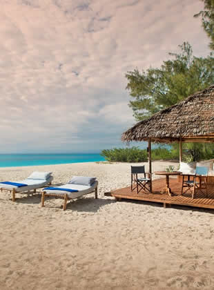 bush and beach